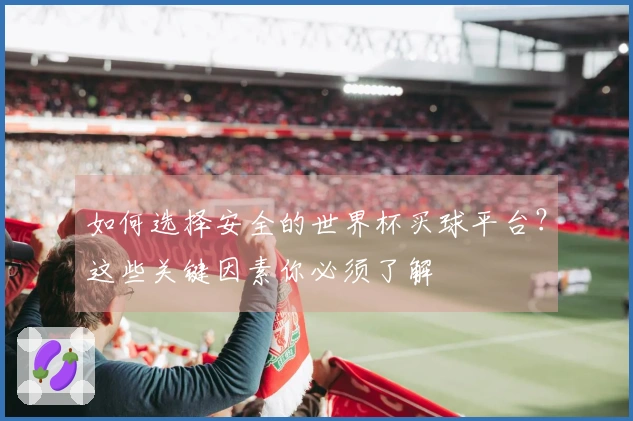 如何选择安全的世界杯买球平台？这些关键因素你必须了解