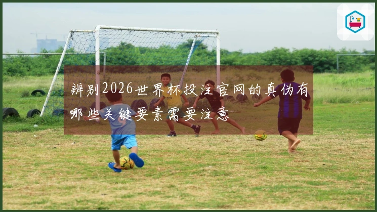 辨别2026世界杯投注官网的真伪有哪些关键要素需要注意