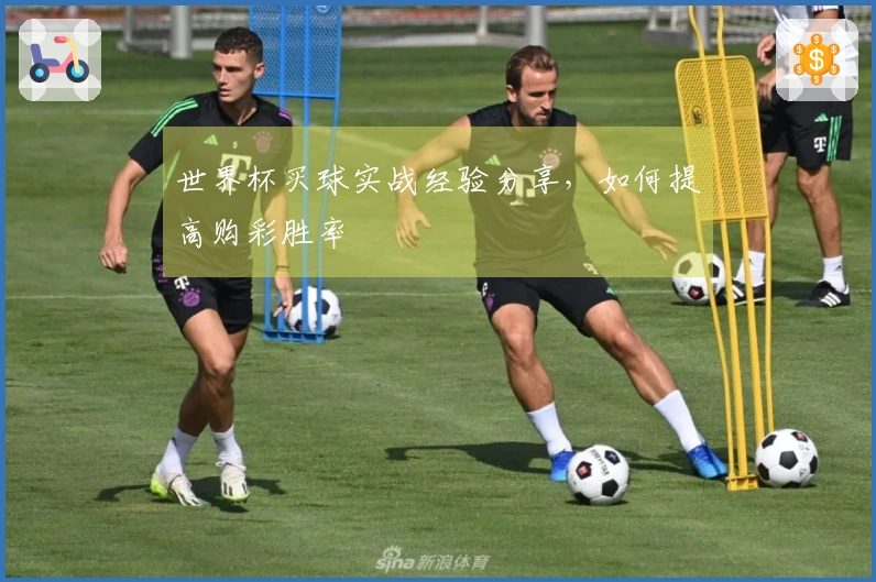 世界杯买球实战经验分享，如何提高购彩胜率