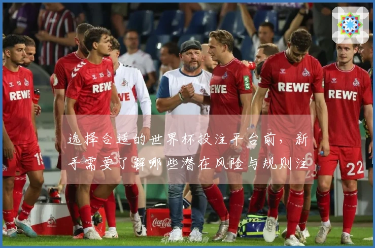选择合适的世界杯投注平台前，新手需要了解哪些潜在风险与规则注意事项？